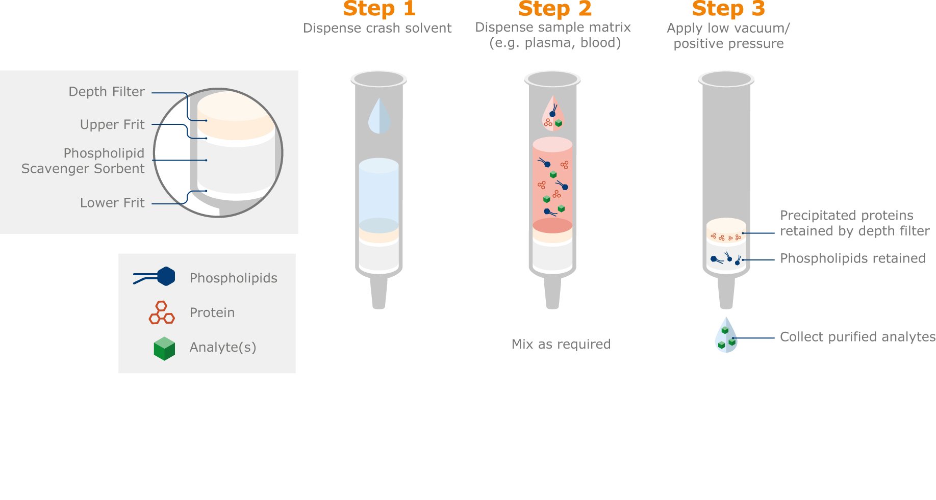 phospholipid-depletion-with-text