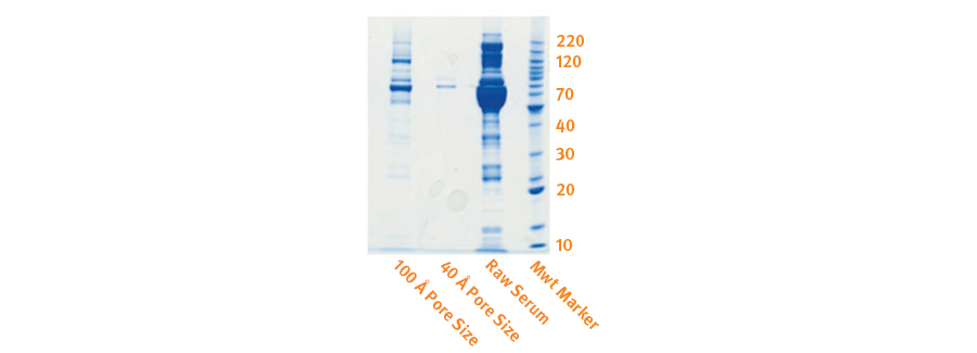 BIOMARK2.248 - Pore Size