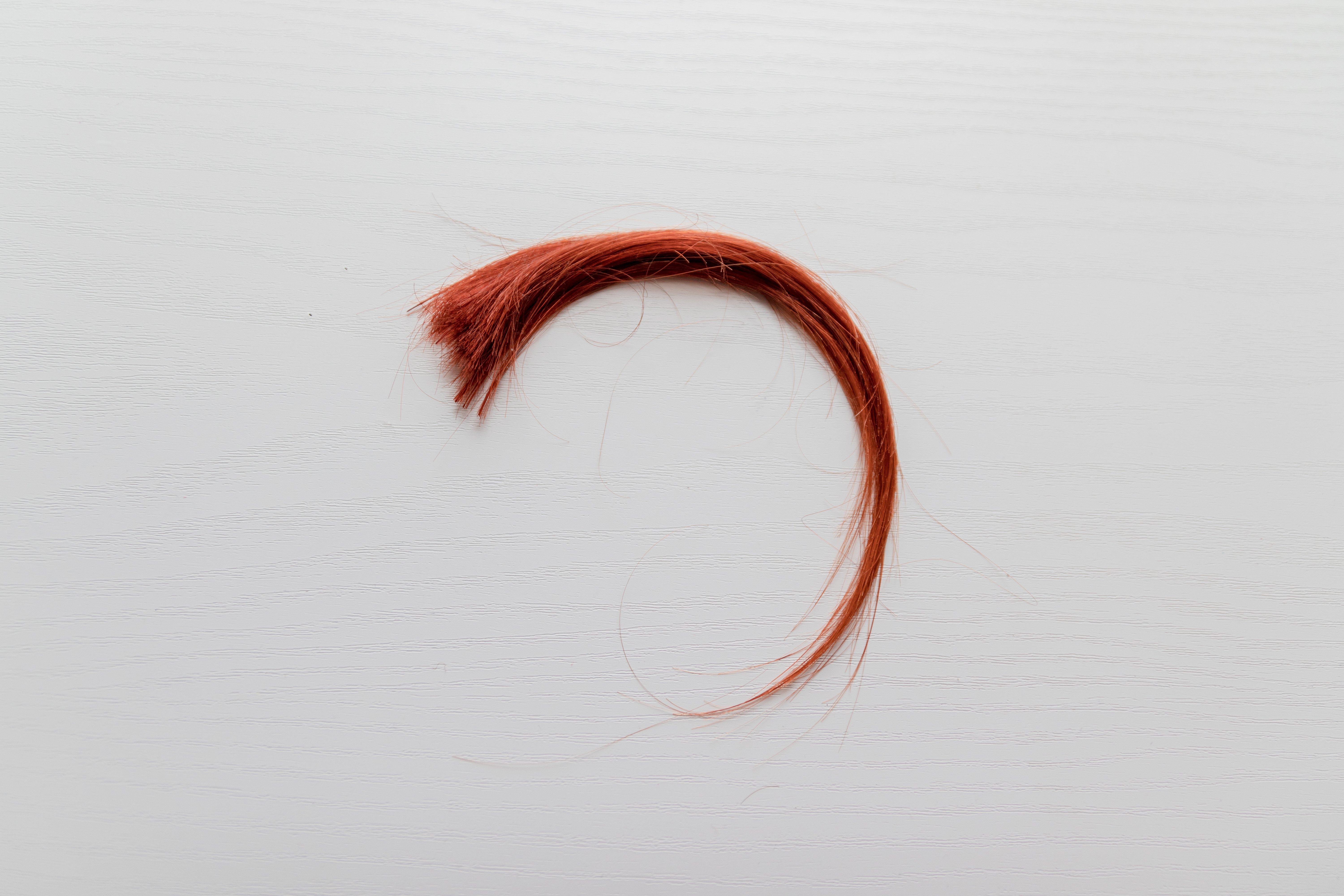 AdobeStock_332444006