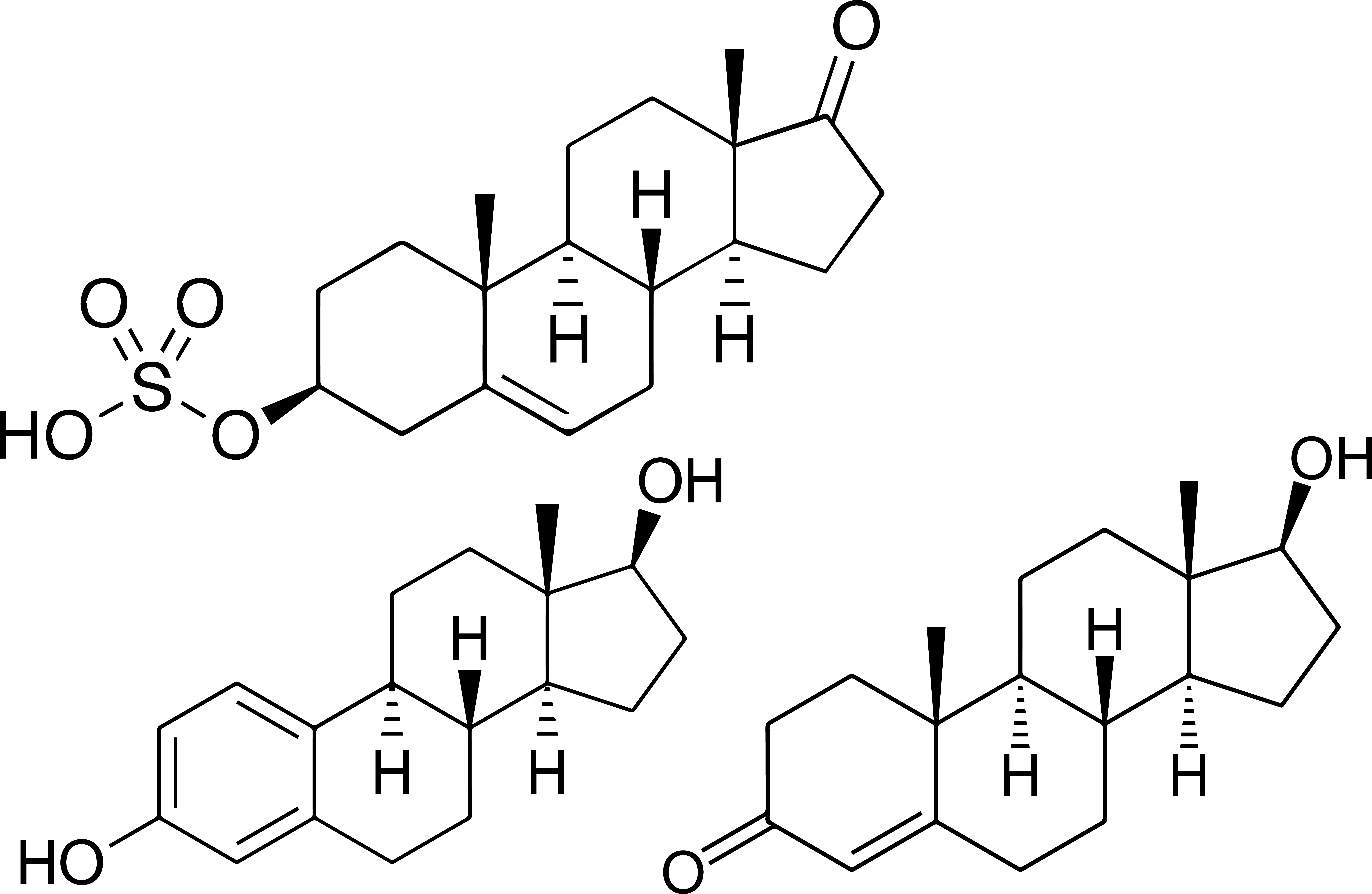 Human Steriods from Serum