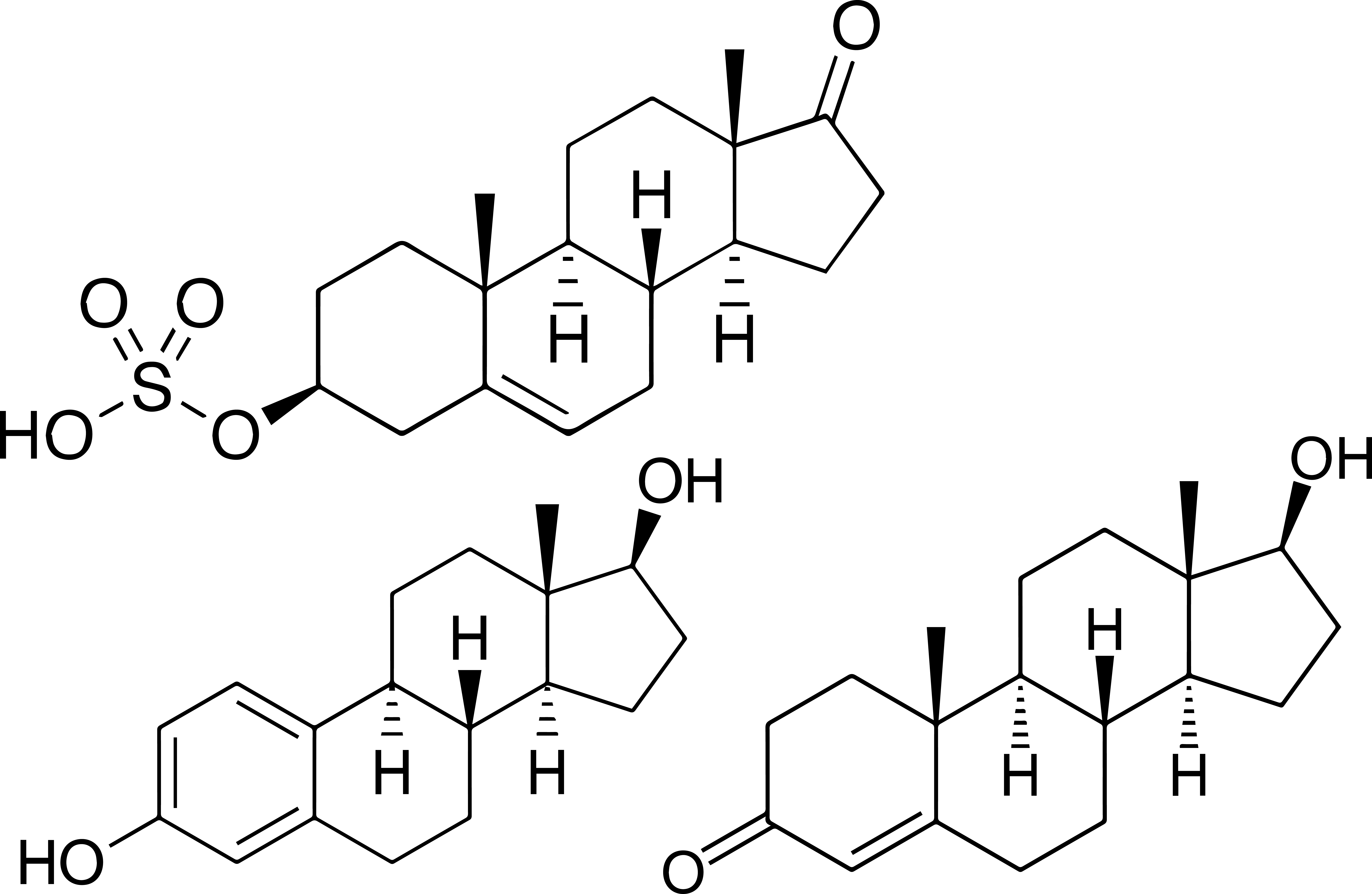 Human Steriods from Serum
