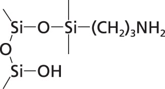 isolute_nh2