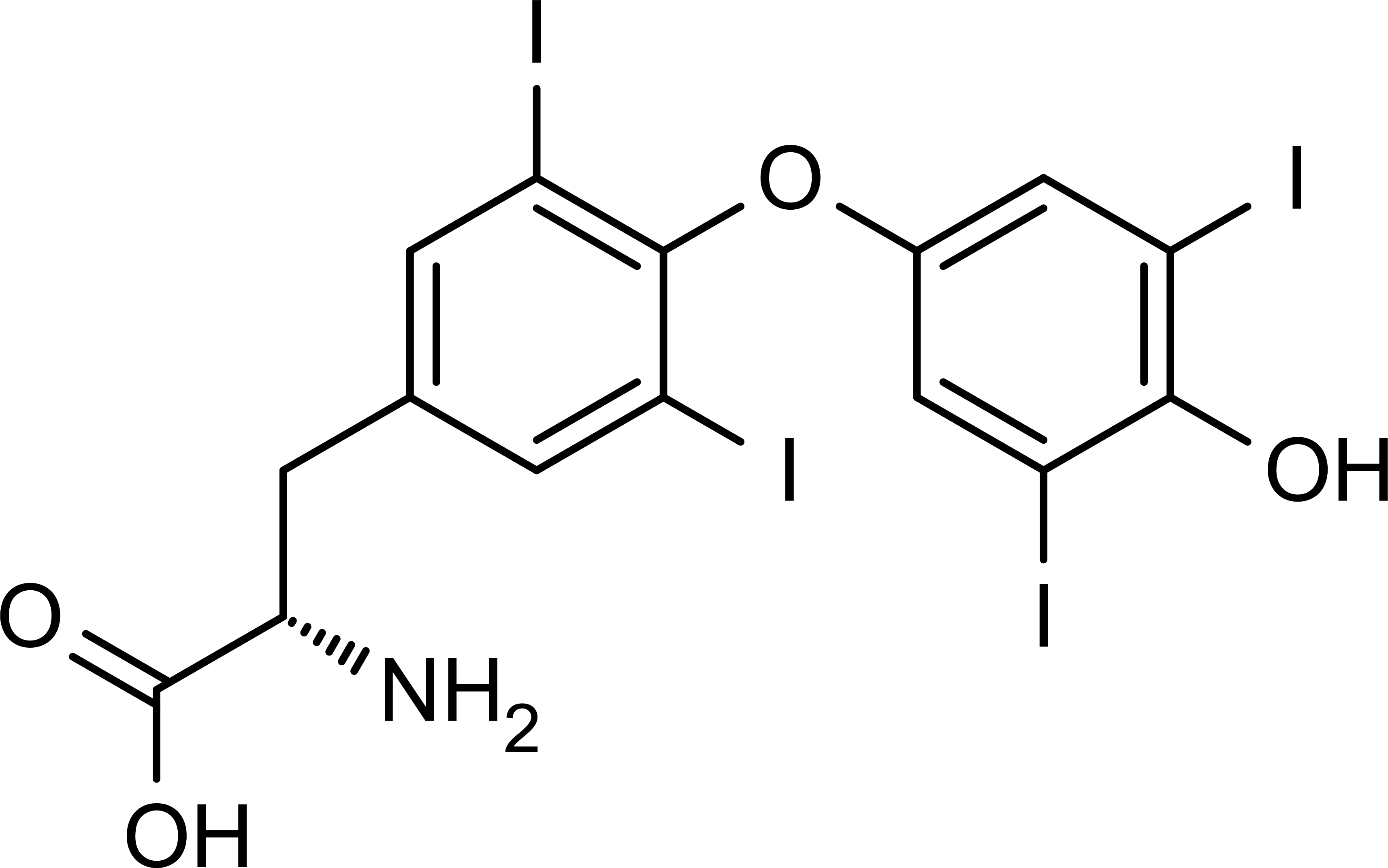 Thyroid@4x