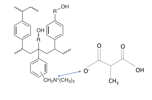 AX sorbent and methylmalonic acid
