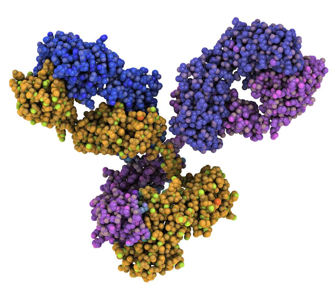 Antibody Biomolecules small