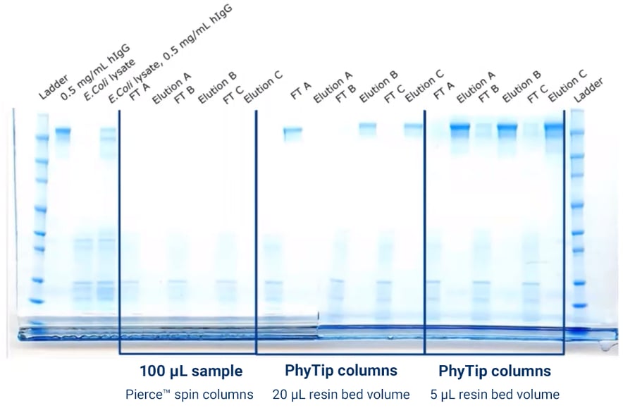 High-throughput Protein Purification Strategies