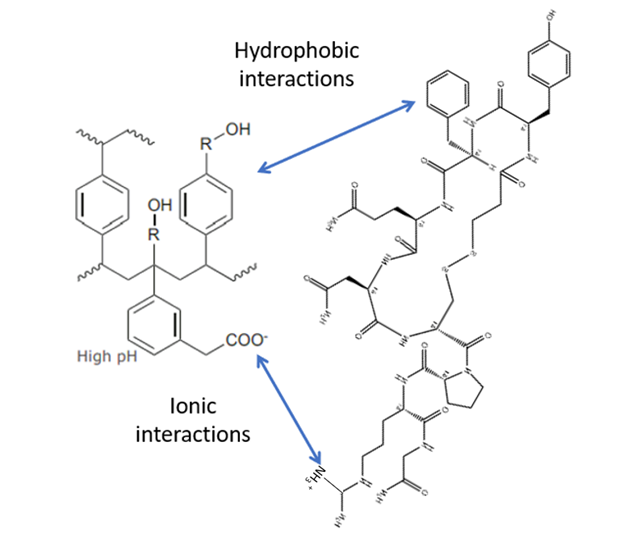 Desmopressin and sorbent