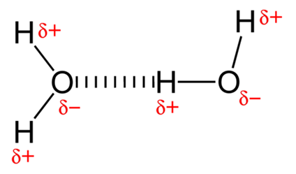 Hydrogen bonding between water molecules, an example of a polar interaction