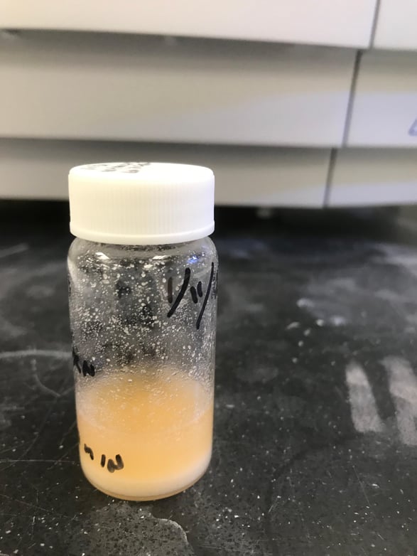 Hipp acid + aniline RxN in EtOAc crude