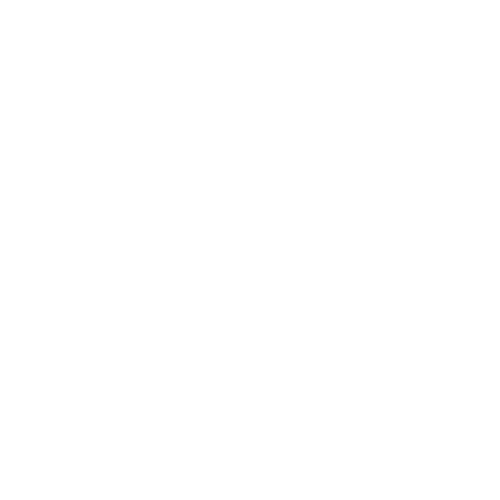 biotage-policy-white-icon