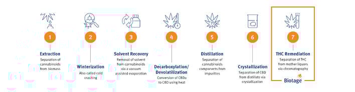 CBD THC workflow Hero image