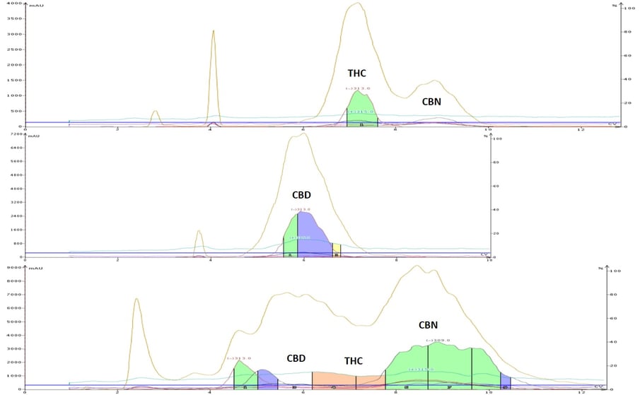 CBN, THC and CBD flash overlay