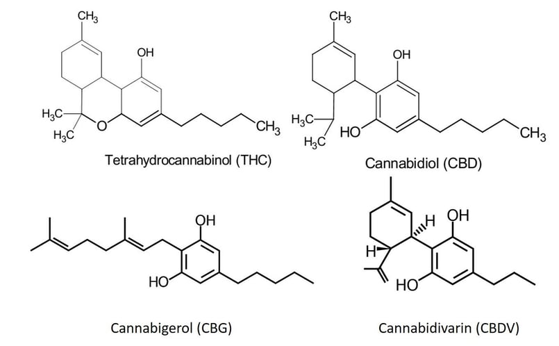 Cannabinoid structures CBG, CDB, CBDV, THC