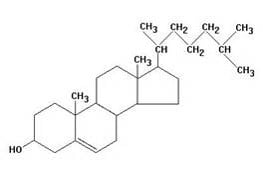 Cholesterol