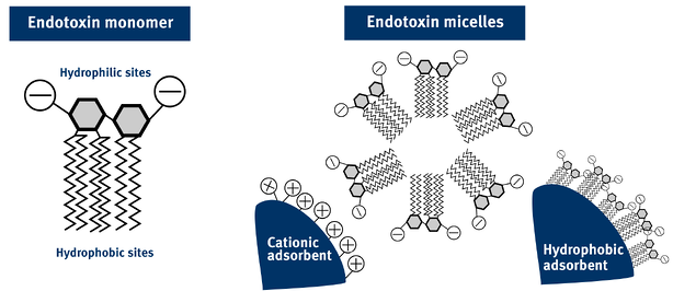 Endotoxin-micelles-monomers