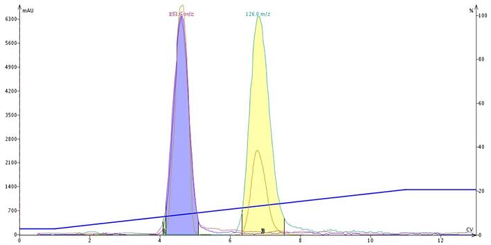FP - DCM-MeOH-gradient