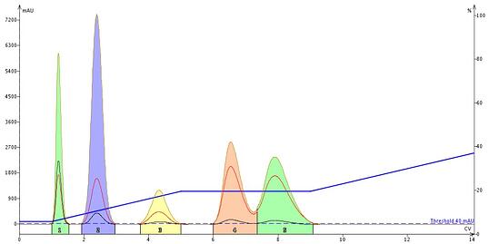 FP - Isocratic hold