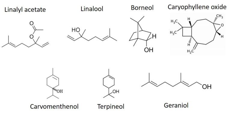 FP - Lavender-compounds