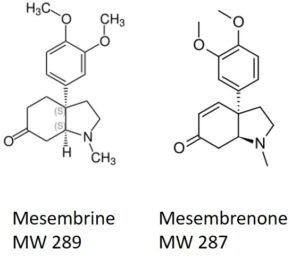 FP - Mesembrine-and-mesembrenone-300x266