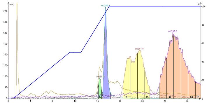 FP - Sceletium-with-base-2