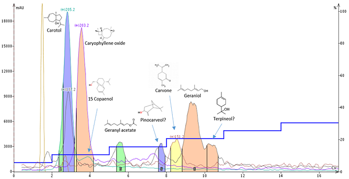FP - carrot-oil-6-step-gradient-3.jpg-768x393