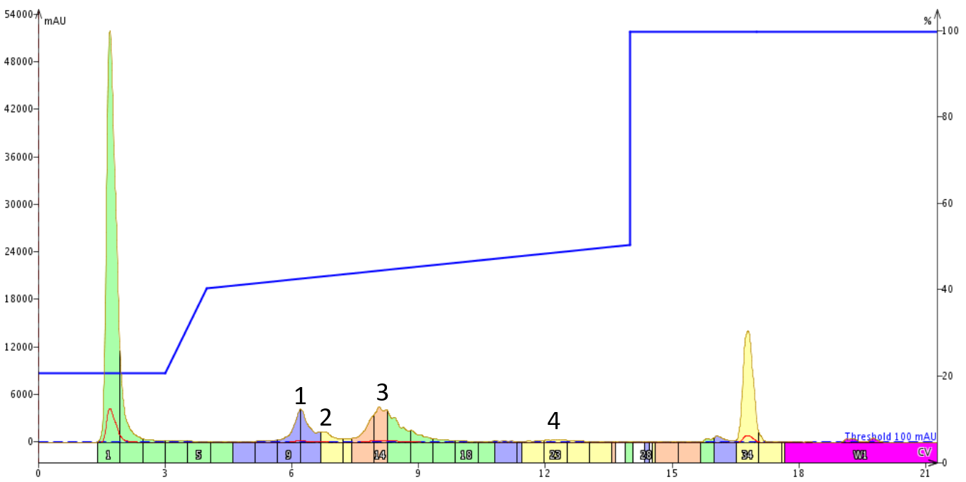 Figure 4.  Purification of 18A using a focused gradient with a lower starting point. 