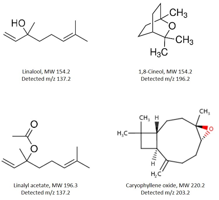 Lavender terpenoids found in sample with both parent MW and detectable m/z.