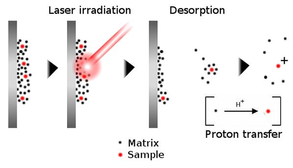 MALDI ionization