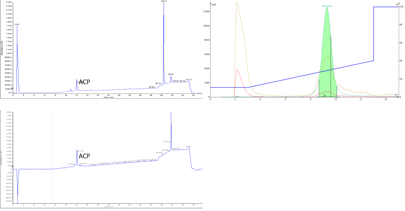 Purify Synthetic Peptides