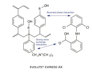Chemical structure of  anion exchange phase EVOLUTE EXPRESS AX