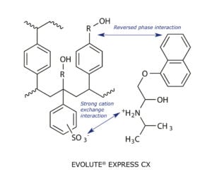 Chemical structure of cation exchange phase EVOLUTE EXPRESS CX 