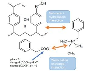 EVOLUTE EXPRESS WCX mixed mode weak cation exchange sorbent