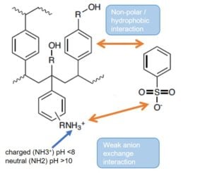 EVOLUTE EXPRESS WAX mixed mode weak anion exchange sorbent