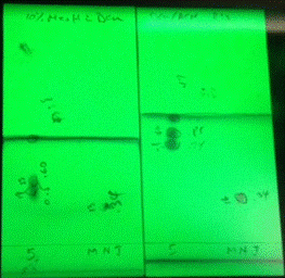 TLC runs comparing separation capabilities between DCM-MeOH (left) and DCM-ACN (right).