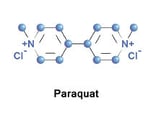 Paraquat