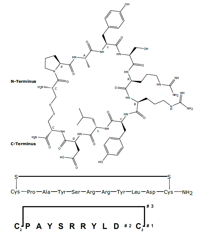 biotage-an093-figure1-Cyclic-peptide1-BranchesTM-representation-1