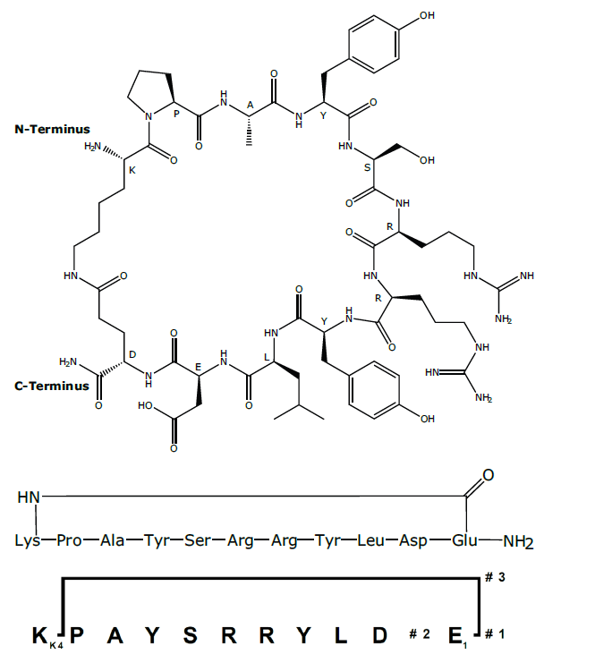 biotage-an093-figure2-Cyclic-peptide2-BranchesTM-representation-2