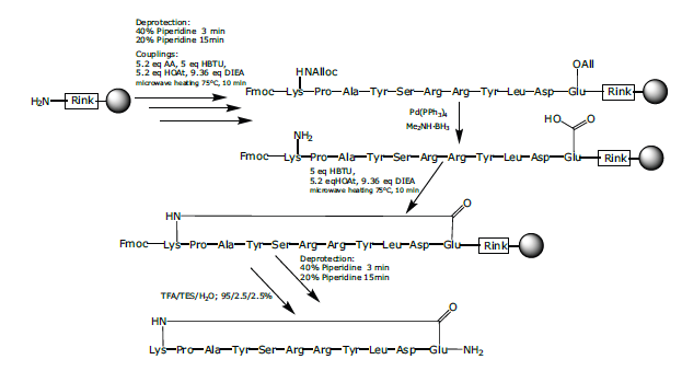 Automated synthesis of cyclic peptides on Biotage® Initiator+ Alstra ...