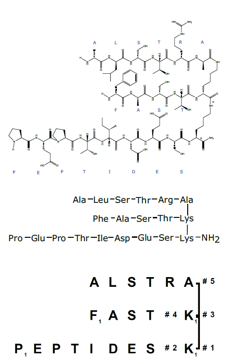 Automated synthesis of a complex multibranched peptide using the ...