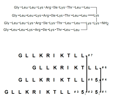 biotage-an097-figure2-Tetra-branched-antimicrobial-peptide-analogue