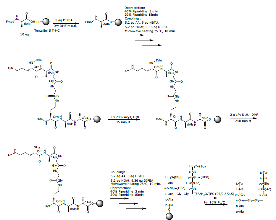 biotage-an097-scheme1-Synthesis of branched peptidoglycan mimic 1