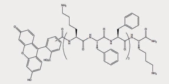 biotage-an098-figure1-sequence-and-structure-of-fluoroscently-labeled-antimicrobial-peptide1