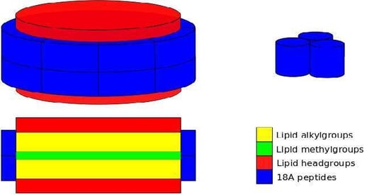 biotage-an103-figure1-Peptide-nanodisc-hold-transmembrane-proteins.