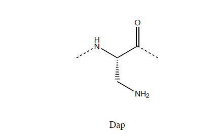 biotage-an110-figure2-Diaminoproprionic-acid-(Dap)-linker.