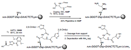 biotage-an110-figure4-Synthesis-of-PNA2