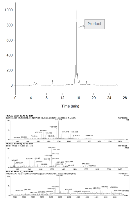 biotage-an110-figure5-Analytical-HPLC-trace-ESI-TOF-MS-crude-PNA2