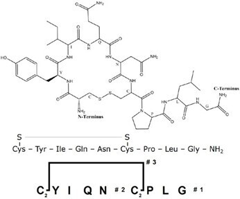 biotage-an115-figure1-sequence-oxytocin
