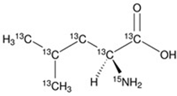 biotage-an115-figure3-Isotopically-labeled-leucine