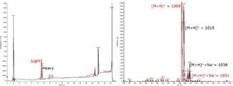 biotage-an115-figure4-Crude-analytical-chromatogram-oxytocin-with-Leu