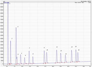 biotage-an119-figure2-Chromatogram-of-16-compounds
